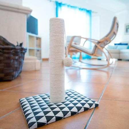 Pe Na Areia By Stay In Alentejo Вила-Нова-де-Мильфонт Экстерьер фото